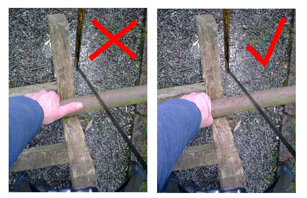 How to Cut Down a Tree With a Bow Saw: Step-by-Step Guide