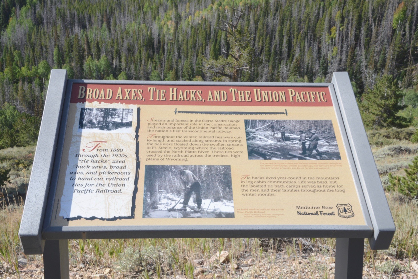 Can a Bow Saw Cut Through a Railroad Tie: Expert Insights