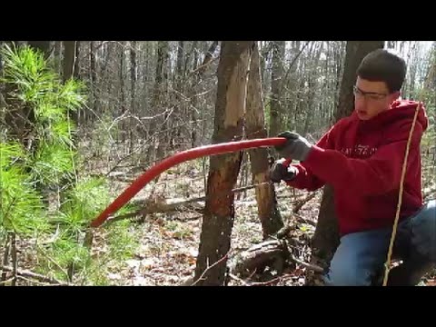 How to Cut Down a Tree With a Bow Saw: Step-by-Step Guide
